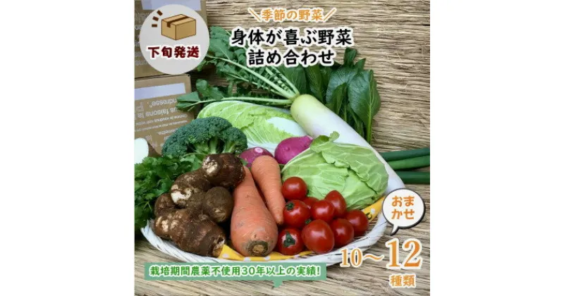 【ふるさと納税】【発送月固定定期便】『身体が喜ぶ野菜』詰め合わせ(おまかせ10～12品)下旬発送全10回【配送不可地域：離島】【4053652】