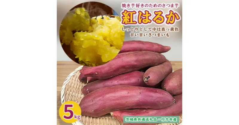 【ふるさと納税】【12月以降順次発送】焼き芋好きのためのさつま芋　紅はるか5kg【茨城県共通返礼品・行方市産】【1527168】