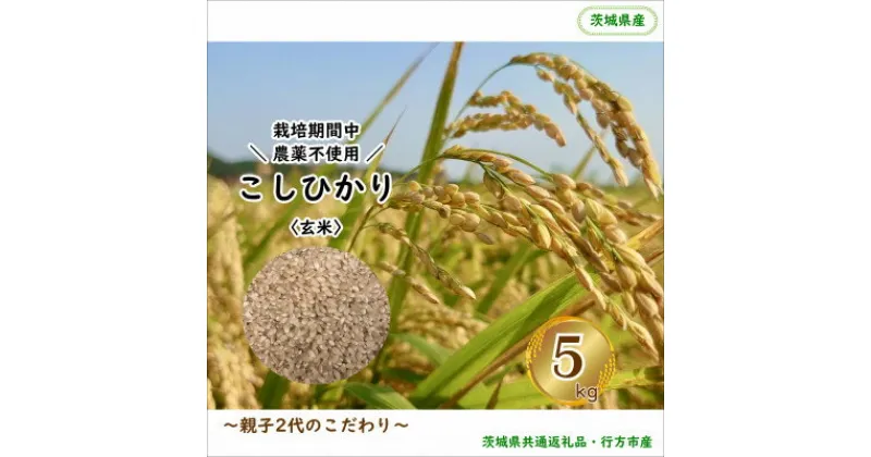 【ふるさと納税】令和6年産 新米【栽培期間中農薬不使用】こしひかり 玄米5kg茨城県共通返礼品・行方市産【1539272】