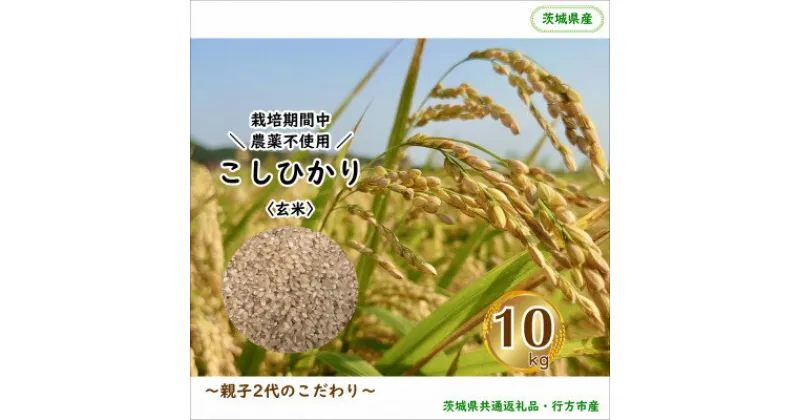 【ふるさと納税】令和6年産 新米【栽培期間中農薬不使用】こしひかり 玄米10kg茨城県共通返礼品・行方市産【1539273】