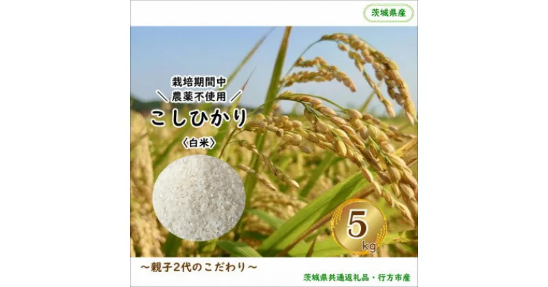 【ふるさと納税】令和6年産 新米【栽培期間中農薬不使用】こしひかり 白米5kg茨城県共通返礼品・行方市産【1539274】