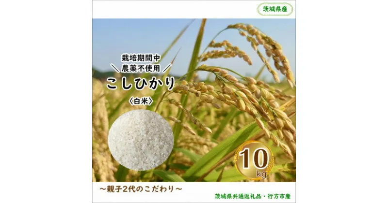 【ふるさと納税】令和6年産 新米【栽培期間中農薬不使用】こしひかり 白米10kg茨城県共通返礼品・行方市産【1539275】