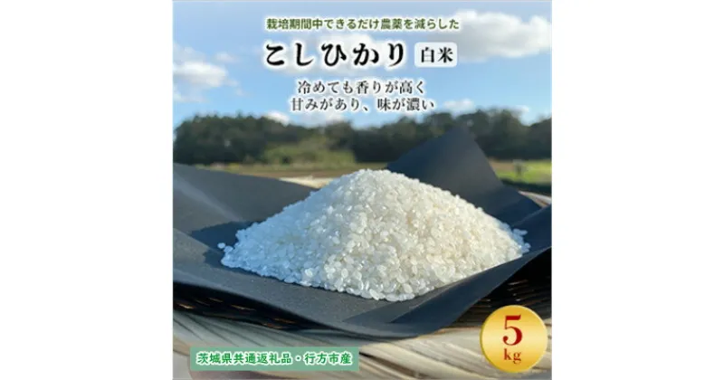 【ふるさと納税】栽培期間中できるだけ農薬を減らした【こしひかり】白米5kg茨城共通返礼品・行方産【1541523】