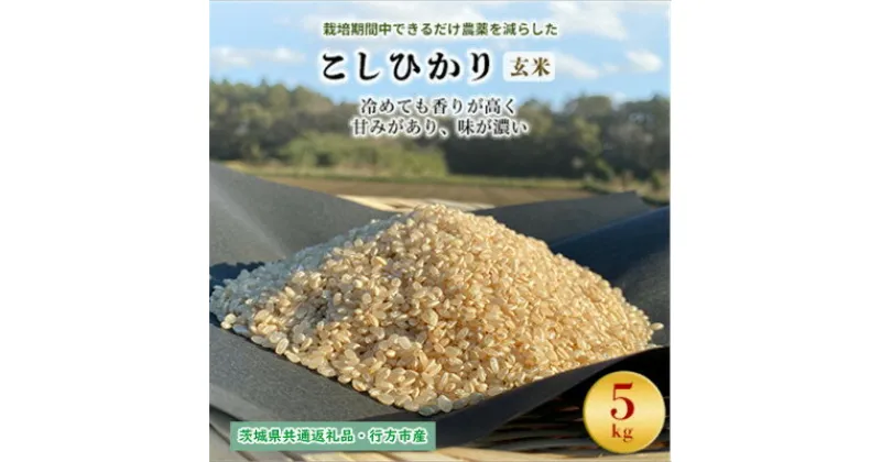 【ふるさと納税】栽培期間中できるだけ農薬を減らした【こしひかり】玄米5kg茨城共通返礼品・行方産【1541524】