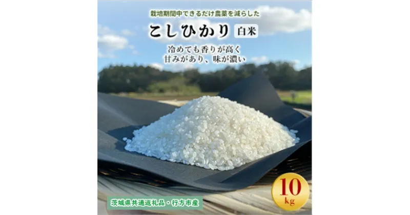 【ふるさと納税】栽培期間中できるだけ農薬を減らした【こしひかり】白米10kg茨城共通返礼品・行方産【1541525】