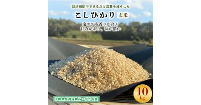 【ふるさと納税】栽培期間中できるだけ農薬を減らした【こしひかり】玄米10kg茨城共通返礼品・行方産【1541526】