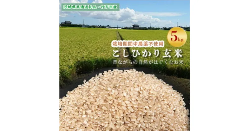 【ふるさと納税】【毎月定期便】【栽培期間中農薬不使用】こしひかり玄米5kg茨城県共通返礼品・行方市産全12回【4055824】