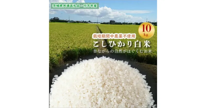 【ふるさと納税】【毎月定期便】【栽培期間中農薬不使用】こしひかり白米10kg茨城県共通返礼品・行方市産全12回【4055825】