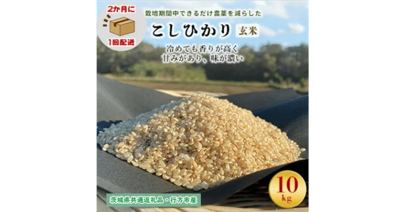 【ふるさと納税】【2ヵ月毎定期便】栽培期間中できるだけ農薬を減らすこしひかり玄米10kg茨城共通返礼品行方産全6回【4055839】