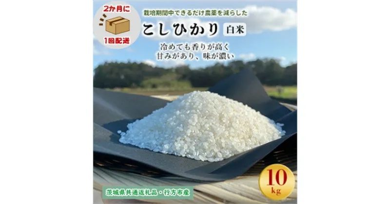 【ふるさと納税】【2ヵ月毎定期便】栽培期間中できるだけ農薬を減らすこしひかり白米10kg茨城共通返礼品行方産全6回【4055851】