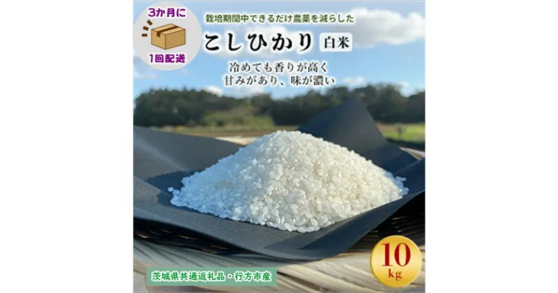 【ふるさと納税】【3ヵ月毎定期便】栽培期間中できるだけ農薬を減らすこしひかり白米10kg茨城共通返礼品行方産全4回【4055852】