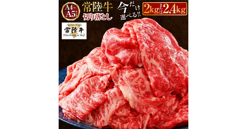 【ふるさと納税】【楽天限定】常陸牛 切り落とし 2kg～2.4kg〈選べる〉【A4～A5 お肉 牛肉 モモ ロース 切落とし 冷凍 肉じゃが すき焼き 茨城県】発送時期が選べる 人気