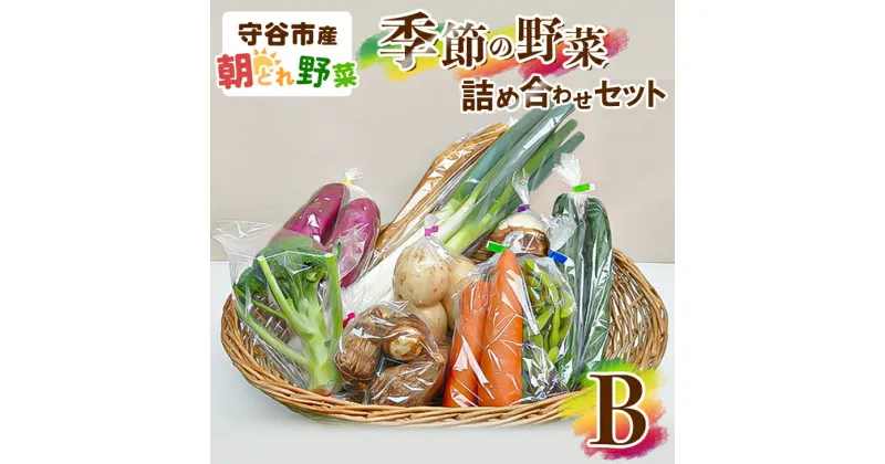 【ふるさと納税】季節の野菜セットB　【野菜・セット・詰合せ・野菜セット】