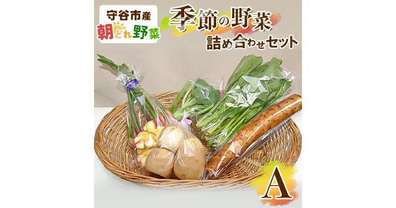 【ふるさと納税】季節の野菜セットA　【野菜・セット・詰合せ・野菜セット】