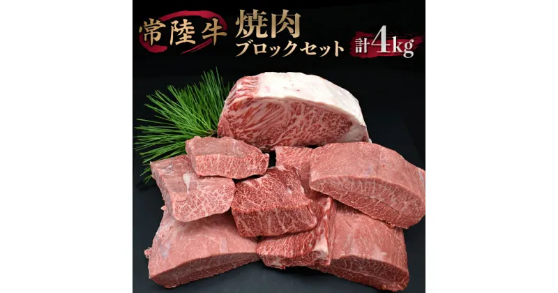 【ふるさと納税】焼肉ブロックセット【サーロイン ミスジ カルビ カタバラ バラ お肉 焼肉 食べ比べ やきにく ステーキ 厚切り かたまり ブロック肉 冷凍】