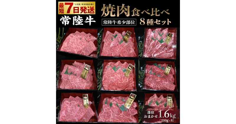 【ふるさと納税】【常陸牛希少部位】焼肉食べ比べ8種セット合計1.6kg【サーロイン ミスジ ササバラ トモサンカク シンシン トウガラシ サンカクバラ イチボ カイノミ お肉 焼肉 食べ比べ やきにく 希少 冷凍】