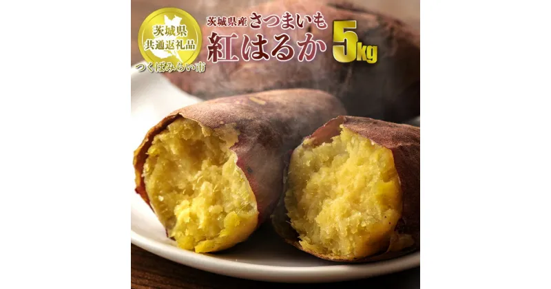 【ふるさと納税】【先行予約】さつまいも 紅はるか 約5kg【茨城県共通返礼品 つくばみらい市】薩摩芋 芋 さつま芋 べにはるか 野菜 秋の味覚 国産 茨城県 守谷市 送料無料　※2024年11月上旬頃より順次発送予定