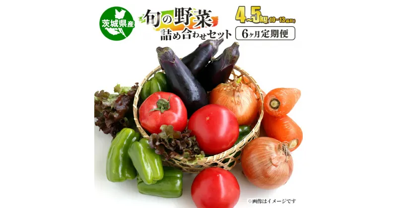 【ふるさと納税】【定期便】旬の野菜詰め合わせセット 隔月6ヶ月 10～13品目 4～5kg やさい ヤサイ 茨城県産