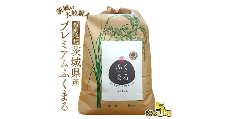 【ふるさと納税】☆茨城の大粒新人 プレミアムふくまる特別栽培米 5kg【玄米】◇