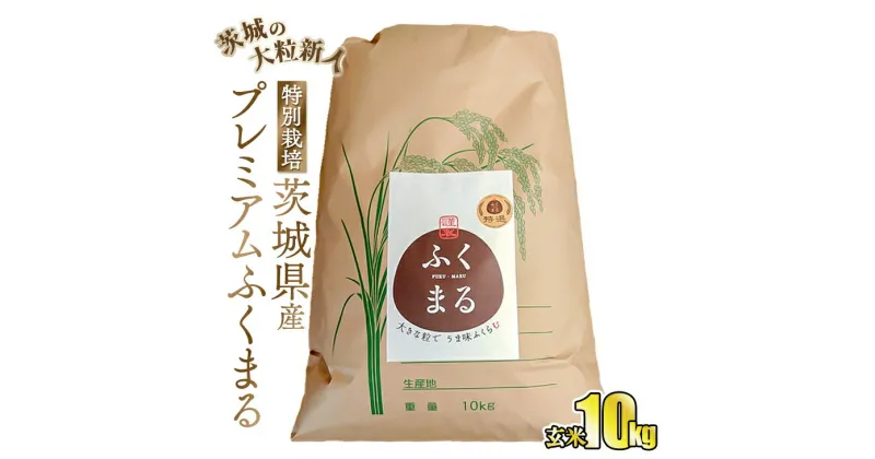 【ふるさと納税】☆茨城の大粒新人 プレミアムふくまる特別栽培米10kg【玄米】◇