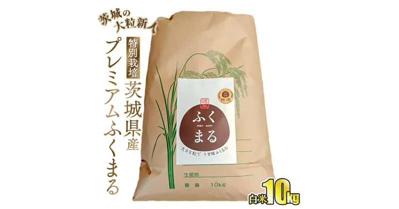 【ふるさと納税】☆茨城の大粒新人 プレミアムふくまる特別栽培米10kg【白米】◆