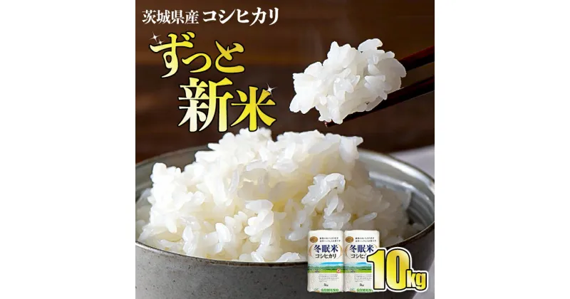 【ふるさと納税】令和6年産 コシヒカリ 冬眠米 10kg 茨城県産 白米 精米 ごはん お米 冬眠 とうみんまい ブランド米 検査米 単一原料米 国産 守谷市 送料無料