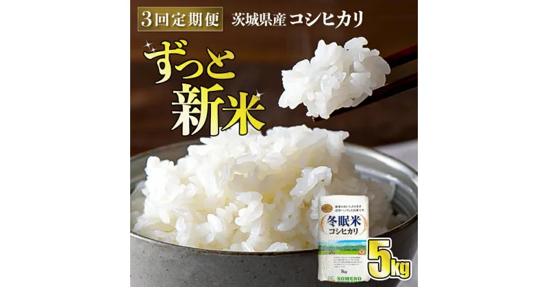 【ふるさと納税】【3回定期便】令和6年産 コシヒカリ 冬眠米 5kg×3回 計15kg 定期便 茨城県産 白米 精米 ごはん お米 冬眠 とうみんまい ブランド米 検査米 単一原料米 国産 守谷市 送料無料