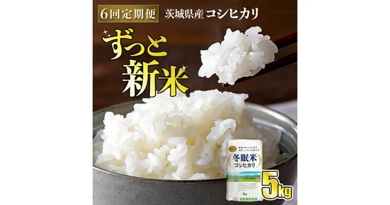 【ふるさと納税】【6回定期便】令和6年産 コシヒカリ 冬眠米 5kg×6回 計30kg 定期便 茨城県産 白米 精米 ごはん お米 冬眠 とうみんまい ブランド米 検査米 単一原料米 国産 守谷市 送料無料