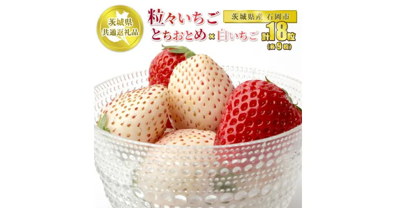 【ふるさと納税】【先行予約】粒々 いちご 18粒 とちおとめと白いちご 【茨城県共通返礼品 石岡市】2種 セット 食べ比べ 各9粒 とちおとめ 白いちご いちご 苺 白い苺 果物 フルーツ お取り寄せ　※2024年12月下旬頃より順次発送予定