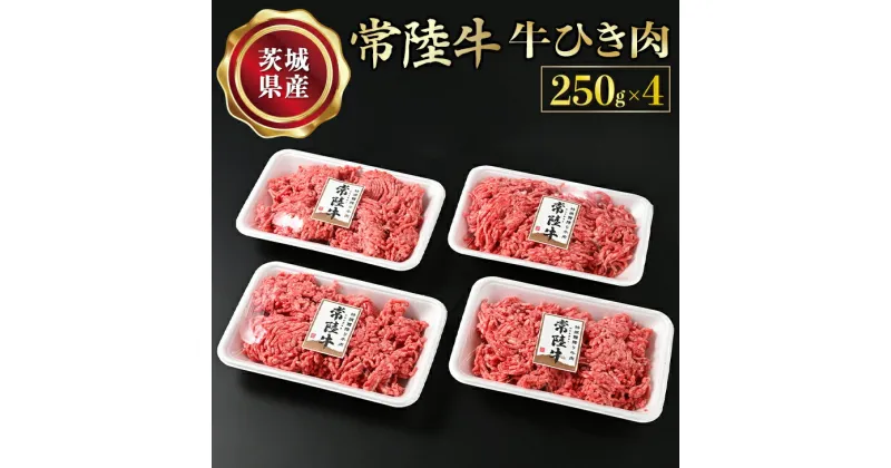 【ふるさと納税】【常陸牛】牛ひき肉 250g×4 合計1kg 藤井商店 常陸牛ひき肉 常陸牛 国産牛 和牛 牛肉 ひき肉 ひきにく 挽肉 挽き肉 牛挽肉 牛挽き肉 4P パック セット 小分け ミンチ ハンバーグ メンチカツ コロッケ 国産 茨城県産 冷凍 送料無料