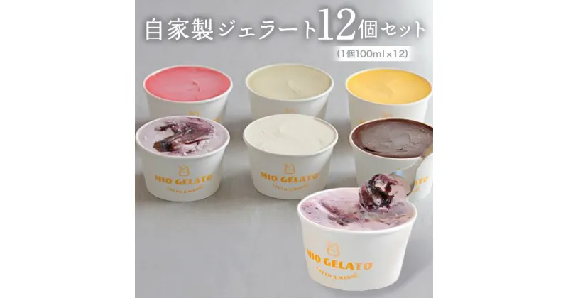 【ふるさと納税】自家製ジェラート12個セット｜イタリアン ジェラート シャーベット アイス ミルク チョコレート マンゴー ヨーグルト ベリー ナッツ フルーツ 小分け 定番 手作り スイーツ 洋菓子 アソート 詰め合わせ セット ギフト 贈答 プレゼント 茨城県 守谷市