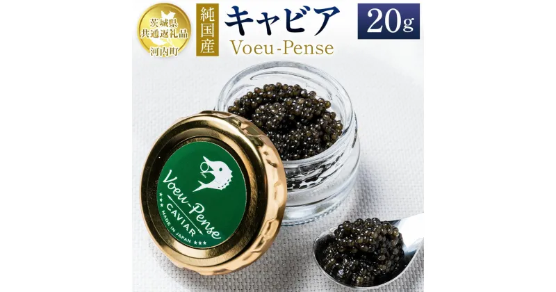 【ふるさと納税】純国産 キャビア Voeu-Pense 20g 【茨城県共通返礼品　河内町】 魚介 魚卵 ベステル卵 贈り物 ギフト お土産 国産 グルメ 食品 加工品 冷凍 茨城県 守谷市 送料無料※2024年1月下旬頃より順次発送予定