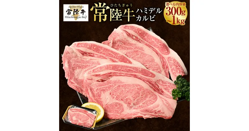 【ふるさと納税】【常陸牛】ハミデルカルビ300g～1kg(2～10枚) （茨城県共通返礼品 茨城県産）　肉 お肉 牛肉 ブランド牛 ブランド和牛 和牛 常陸牛 リブロース カブリ ゲタ リブ芯 リブ巻 カルビ 多部位 BBQ 冷凍 茨城県 守谷市 送料無料