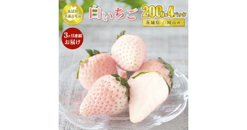 【ふるさと納税】【定期便3ヶ月】白いちご 200g×4パック【茨城県共通返礼品 石岡市】※2025年1月上旬～3月下旬頃に順次発送予定