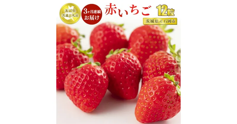 【ふるさと納税】【定期便3ヶ月】赤いちご12粒【茨城県共通返礼品 石岡市】※2025年1月上旬～3月下旬頃に順次発送予定