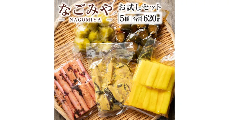 【ふるさと納税】なごみやお試しセット 5種 合計620g セット ピクルス きゅうり 椎茸 芽キャベツ 牛蒡 ゴボウ 漬物 漬け物 詰合せ 詰め合わせ 野菜 野菜漬け 茨城県 守谷市 送料無料