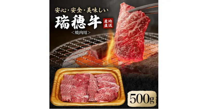 【ふるさと納税】瑞穂牛焼肉セット 約500g 牛肉 やきにく バラ 肩ロース 肩 肩バラ トモサンカク イチボ ブランド牛 冷凍配送 茨城県 お中元 焼肉の日 敬老の日 瑞穂牛 焼肉 10種 盛り合わせ 食べ比べ 国産 肉 BBQ セット 送料無料