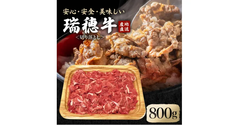 【ふるさと納税】 瑞穂牛切り落としセット 約800g 冷凍配送 牛肉 ブランド牛 A4 A5 A4ランク A5ランク 茨城県 モモ ばら かた 赤身 霜降り 部位ミックス 国産 切り落とし 国産牛 柔らか 牛丼 肉じゃが 冷凍 お取り寄せ 送料無料