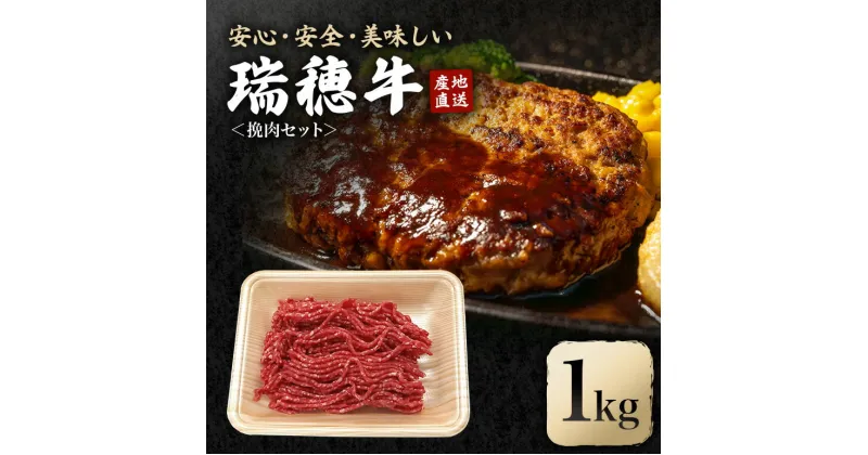 【ふるさと納税】瑞穂牛挽肉セット 約1Kg 1000g 牛肉 瑞穂牛 ひき肉 ブランド牛 茨城県 ミンチ 冷凍配送 200g×5袋パック 小分け 牛ミンチ 和牛 お肉 肉 おにく にく 国産牛 挽き肉 挽肉 お取り寄せ グルメ ハンバーグ キーマカレー 特産品 冷凍 送料無料