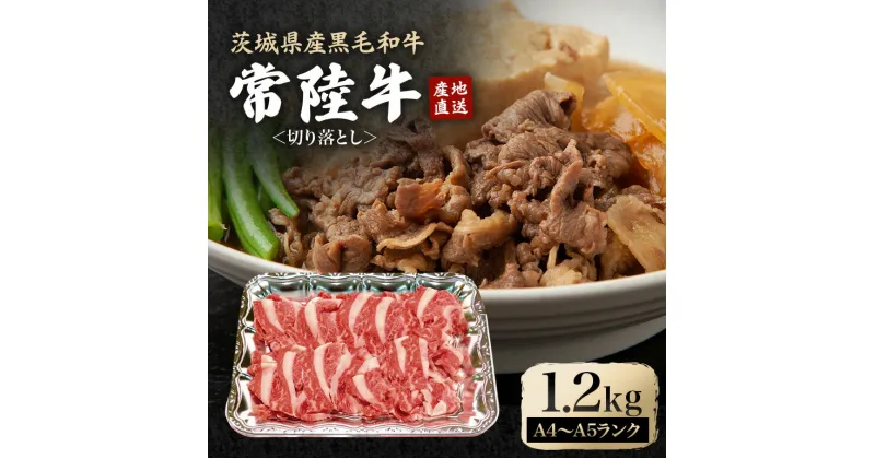 【ふるさと納税】 瑞穂農場で育てた常陸牛切り落とし 約1.2kg 冷凍配送 牛肉 ブランド牛 A4 A5 A4ランク A5ランク 茨城県 モモ ばら かた 赤身 霜降り 部位ミックス 国産 切り落とし 国産牛 柔らか 牛丼 肉じゃが 冷凍 お取り寄せ 送料無料