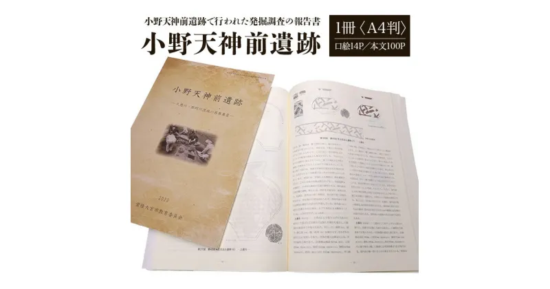 【ふるさと納税】小野天神前遺跡 1冊 弥生時代 報告書 発掘調査 茨城県 送料無料