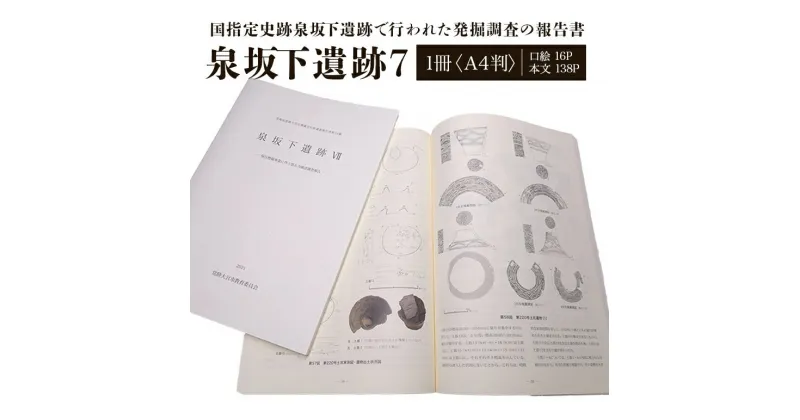 【ふるさと納税】泉坂下遺跡7 1冊 弥生時代 報告書 発掘調査 茨城県 送料無料