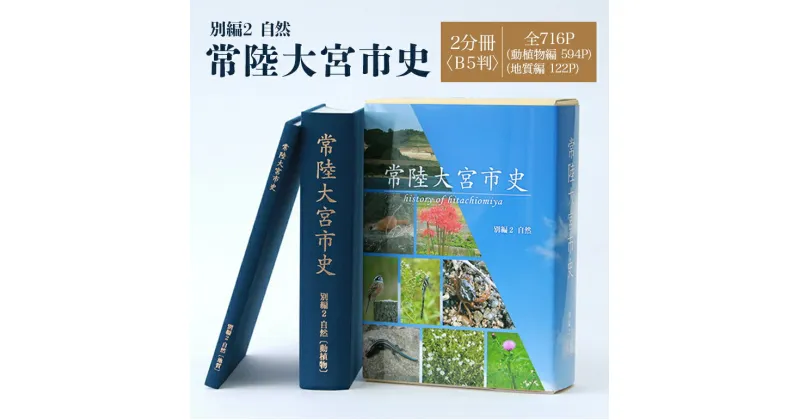 【ふるさと納税】常陸大宮市史 別編2 自然 1冊 近世 藩と村 生業 災害 信仰 茨城県 送料無料