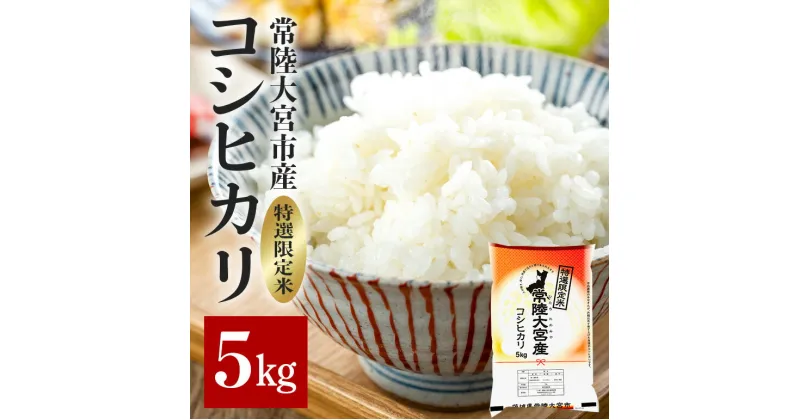 【ふるさと納税】常陸大宮産 コシヒカリ 5kg 特選限定米 白米 精米 おこめ 訳アリ ご飯 国産米 お米ギフト ブランド米 贈答用 人気のお米 美味しいお米