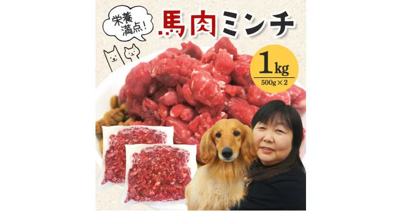 【ふるさと納税】馬肉モモ肉粗挽ミンチ肉500g×2 送料無料