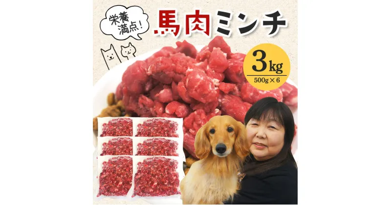 【ふるさと納税】馬肉モモ肉粗挽ミンチ肉500g×6 送料無料