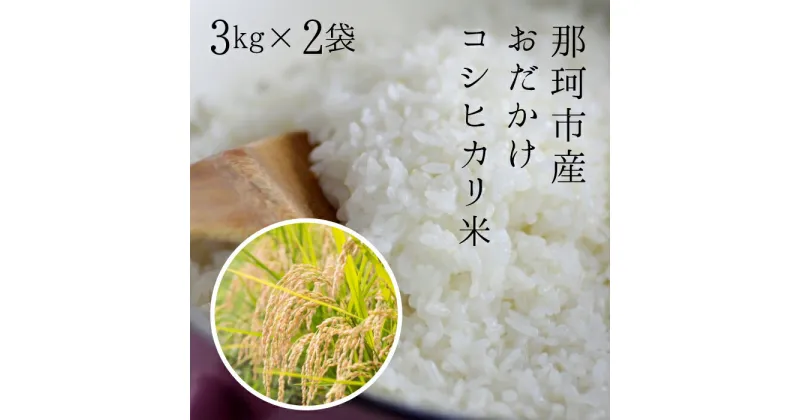 【ふるさと納税】令和6年度産 那珂市産 おだかけコシヒカリ米 3kg×2袋 米 お米 白米 こめ 精米 取り寄せ 特産 ごはん ご飯 コメ お取り寄せ ギフト 贈り物 お弁当 弁当 おにぎり ふっくら ツヤツヤ 甘い 農家直送 産地直送 国産 茨城県産 送料無料