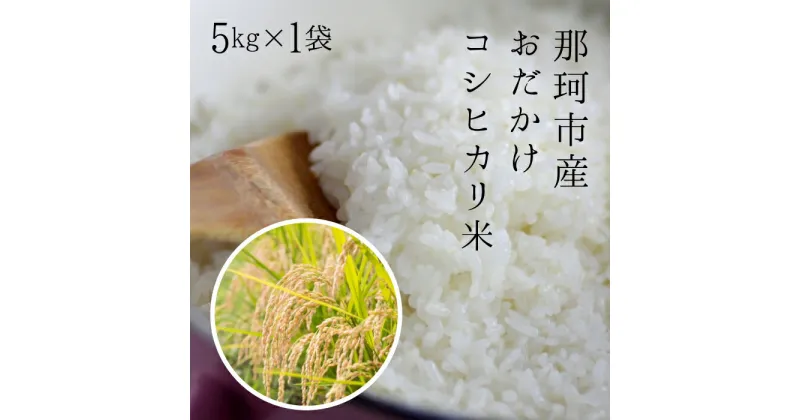 【ふるさと納税】令和6年度産 那珂市産 おだかけコシヒカリ米 5kg 米 お米 白米 こめ 精米 取り寄せ 特産 ごはん ご飯 コメ お取り寄せ ギフト 贈り物 お弁当 弁当 おにぎり ふっくら ツヤツヤ 甘い 農家直送 産地直送 国産 茨城県産 送料無料