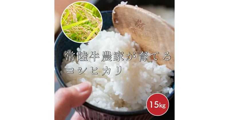 【ふるさと納税】令和6年度産 みねしまふぁーむ 常陸牛農家が育てるコシヒカリ 15kg コシヒカリ 低農薬 低化学肥料 米 発送直前に精米 精米 コシヒカリ米 茨城県産 白米 お米 コメ おこめ こめ こしひかり 有機 ブランド 健康 ギフト 贈り物 送料無料