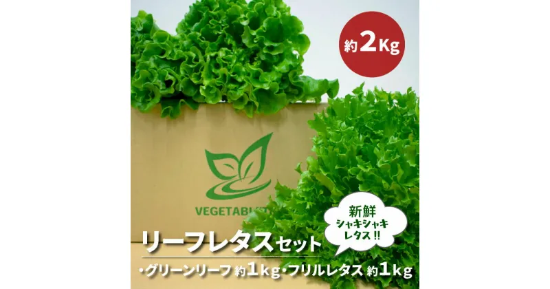 【ふるさと納税】リーフレタスセット 約2Kg 那珂市産 新鮮 レタス リーフレタス フリルレタス グリーンリーフ 無農薬 野菜 栽培期間中農薬不使用 詰め合わせ セット 水耕栽培 LED 栽培 ベジタブル 副菜 常備菜 サラダ ヴィーガン ヘルシー 送料無料